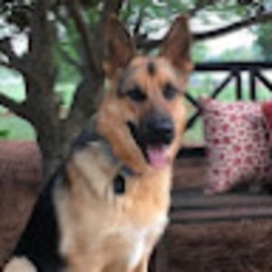 Meet your Posher, Charity